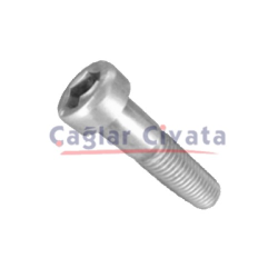 TİTANYUM İMBUS ALLEN CİVATA GR5 DIN 7984